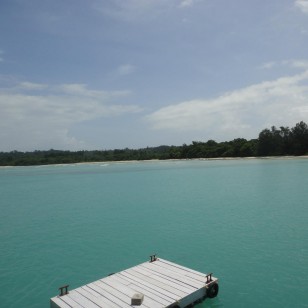 Andaman and Nicobar